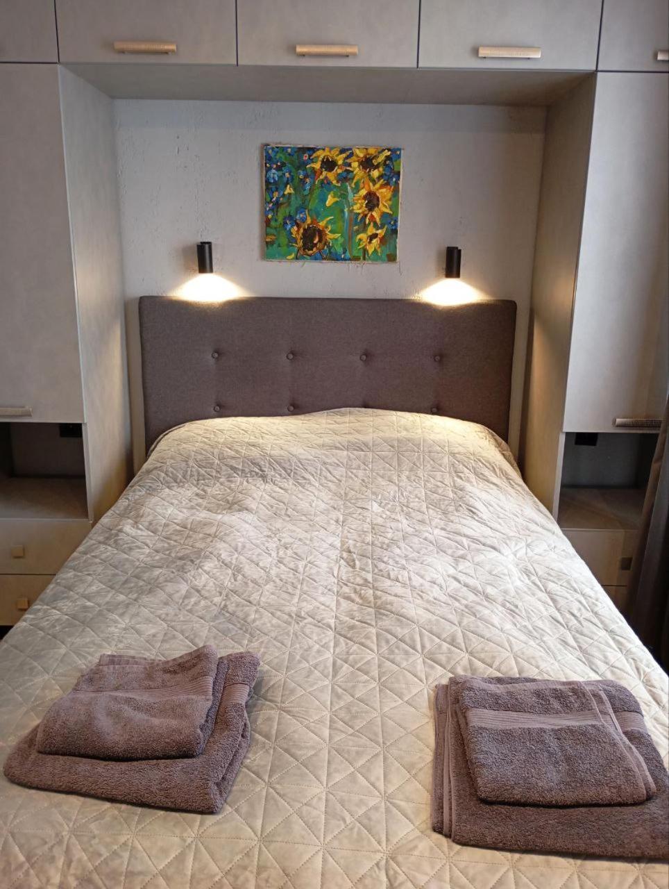 צ'יסינאו City Center Artmania Apartments מראה חיצוני תמונה